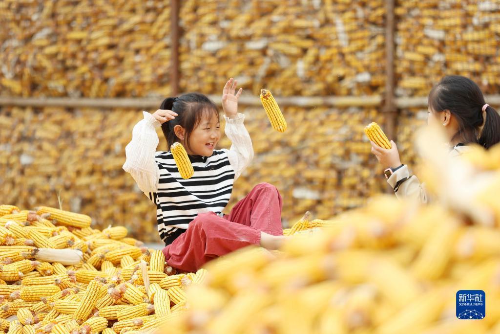 2019菠菜导航